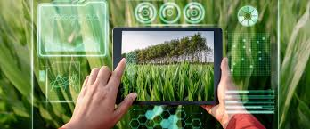 Proactive Agronomy Insights