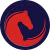 AJN Equine Services