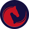 AJN Equine Services